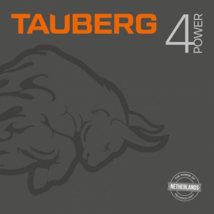 Tauberg 5W30 4Power A5/B5 1л